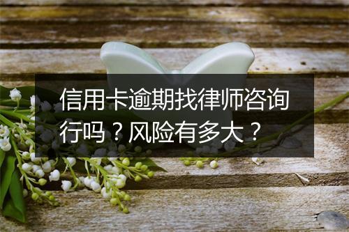 信用卡逾期找律师咨询行吗？风险有多大？