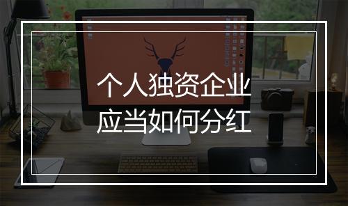 个人独资企业应当如何分红