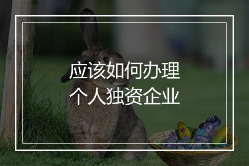 应该如何办理个人独资企业