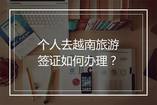 个人去越南旅游签证如何办理？