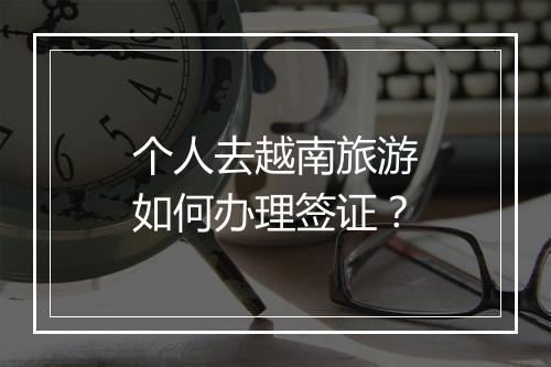 个人去越南旅游如何办理签证？