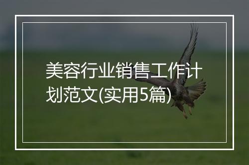 美容行业销售工作计划范文(实用5篇)