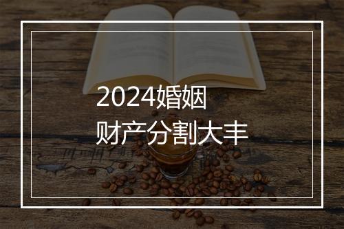 2024婚姻财产分割大丰