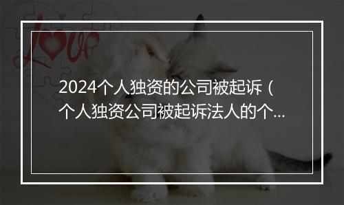 2024个人独资的公司被起诉（个人独资公司被起诉法人的个人财产可以冻结吗）