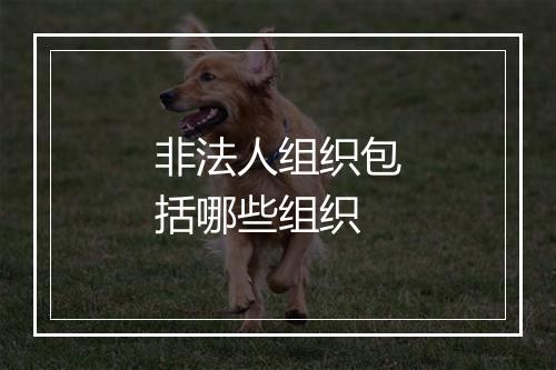 非法人组织包括哪些组织