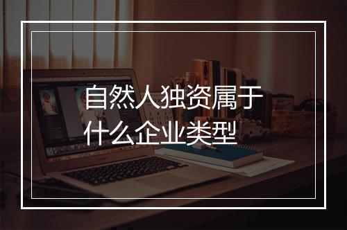 自然人独资属于什么企业类型