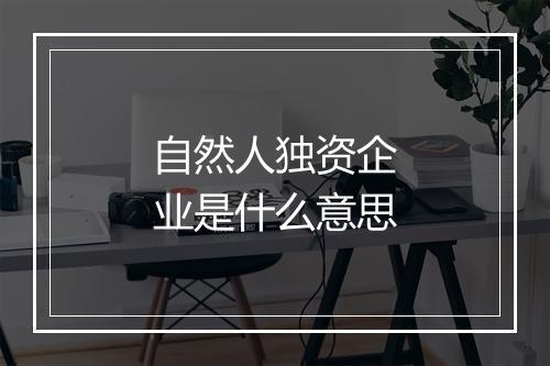自然人独资企业是什么意思