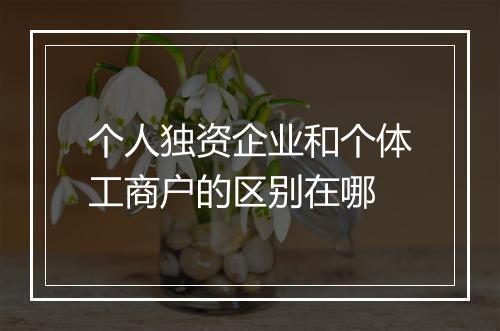 个人独资企业和个体工商户的区别在哪