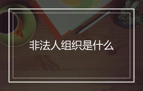 非法人组织是什么