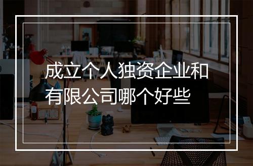 成立个人独资企业和有限公司哪个好些