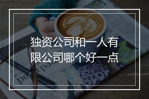 独资公司和一人有限公司哪个好一点