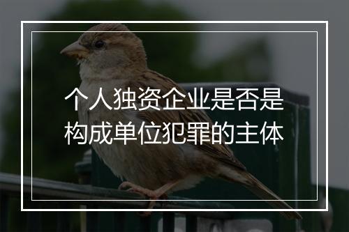 个人独资企业是否是构成单位犯罪的主体