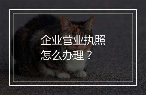 企业营业执照怎么办理？