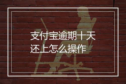 支付宝逾期十天还上怎么操作