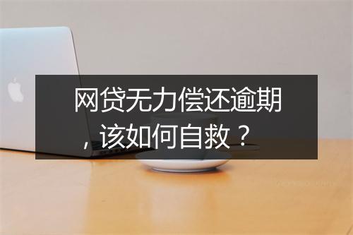 网贷无力偿还逾期，该如何自救？