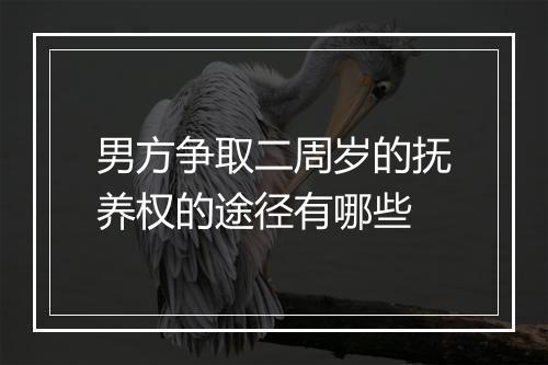 男方争取二周岁的抚养权的途径有哪些