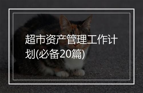 超市资产管理工作计划(必备20篇)