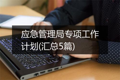 应急管理局专项工作计划(汇总5篇)