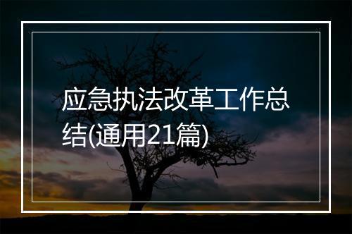应急执法改革工作总结(通用21篇)