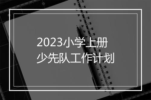 2023小学上册少先队工作计划