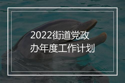 2022街道党政办年度工作计划