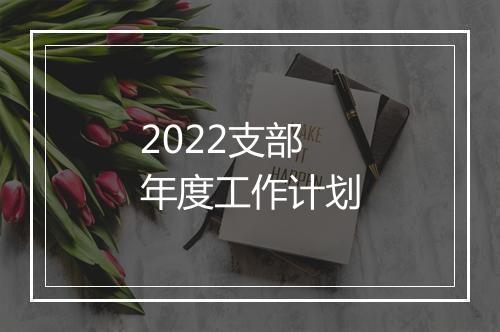 2022支部年度工作计划