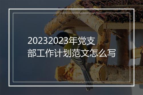 20232023年党支部工作计划范文怎么写