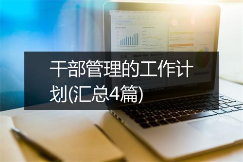 干部管理的工作计划(汇总4篇)