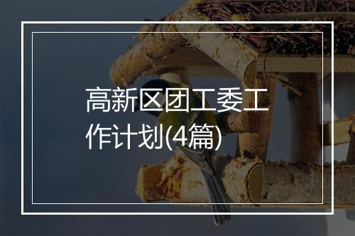 高新区团工委工作计划(4篇)
