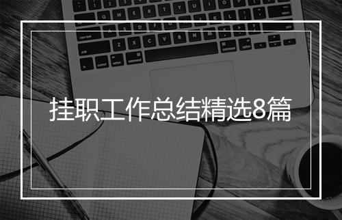挂职工作总结精选8篇