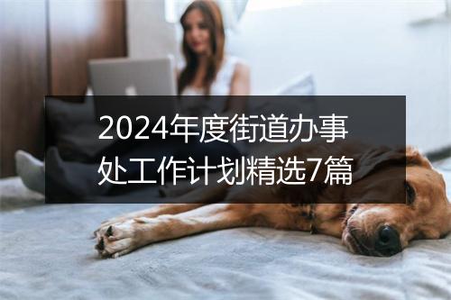 2024年度街道办事处工作计划精选7篇