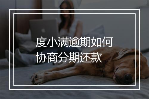 度小满逾期如何协商分期还款