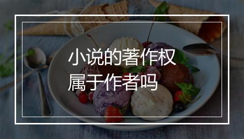 小说的著作权属于作者吗