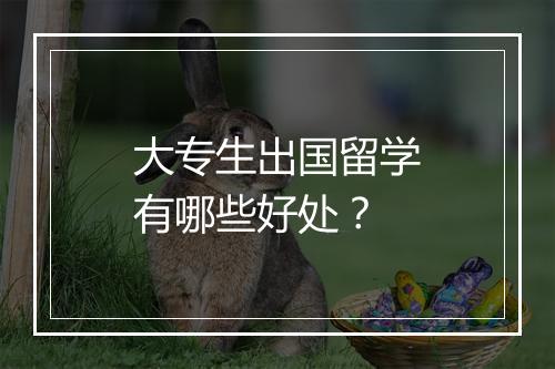 大专生出国留学有哪些好处？