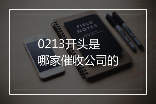 0213开头是哪家催收公司的