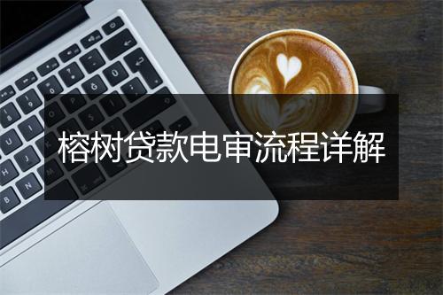 榕树贷款电审流程详解