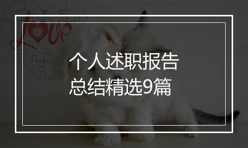 个人述职报告总结精选9篇