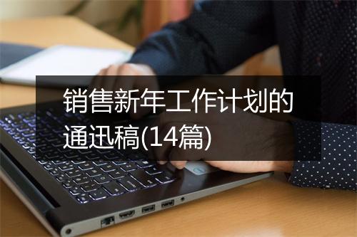 销售新年工作计划的通迅稿(14篇)