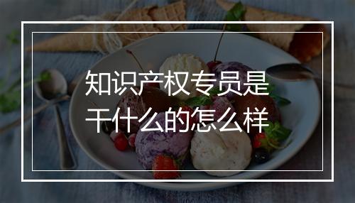知识产权专员是干什么的怎么样