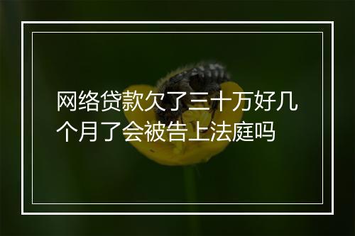 网络贷款欠了三十万好几个月了会被告上法庭吗