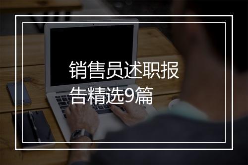 销售员述职报告精选9篇