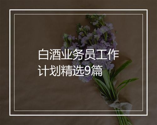 白酒业务员工作计划精选9篇