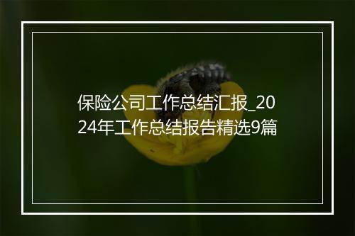 保险公司工作总结汇报_2024年工作总结报告精选9篇