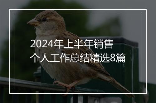 2024年上半年销售个人工作总结精选8篇
