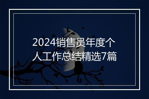 2024销售员年度个人工作总结精选7篇