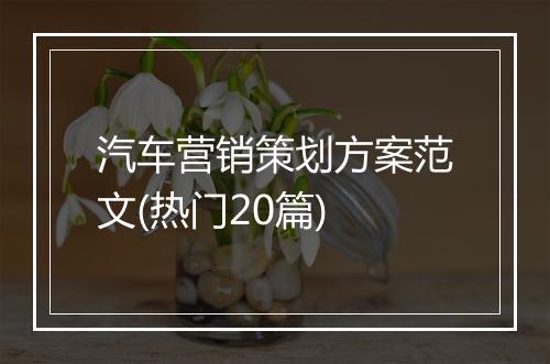 汽车营销策划方案范文(热门20篇)