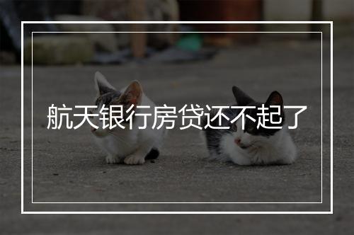 航天银行房贷还不起了