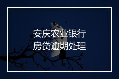 安庆农业银行房贷逾期处理