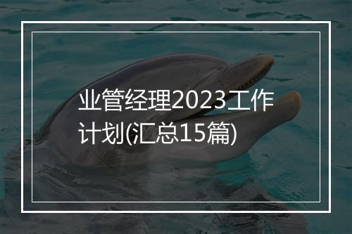 业管经理2023工作计划(汇总15篇)