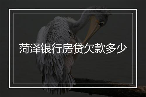 菏泽银行房贷欠款多少